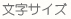 文字サイズ